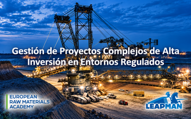 Managing Complex Capital-Intensive Projects in Regulated Environments (English Edition)